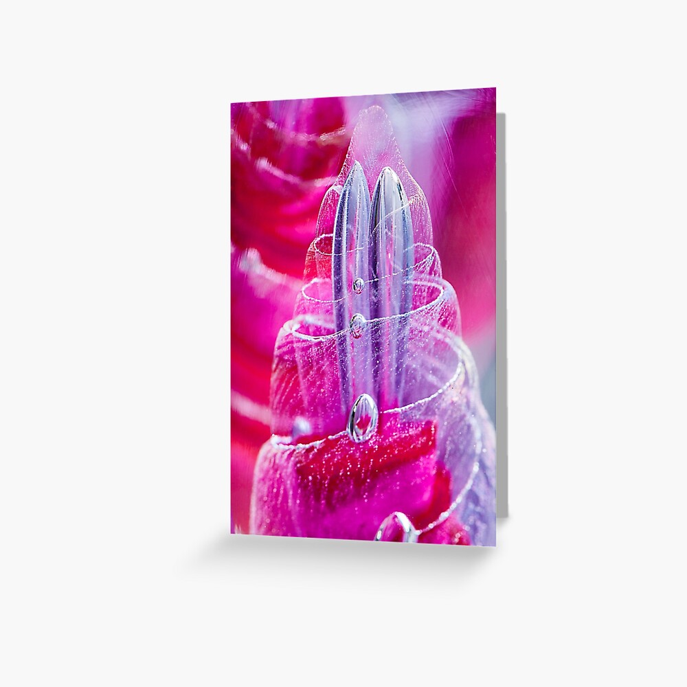 AURYN Greeting Card