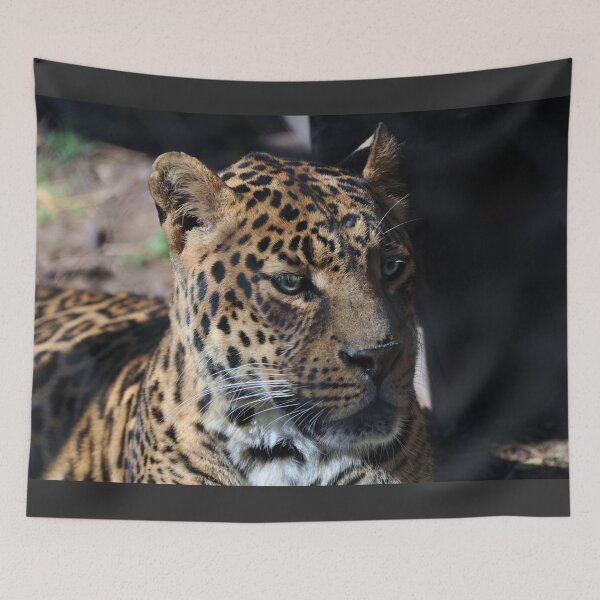 Item preview, Jaguar designed and sold by Savannah Gibbs.