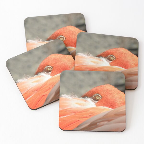 Item preview, Eye of the Flamingo designed and sold by Ratsrule67.