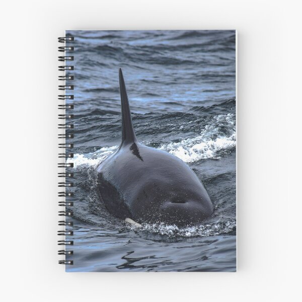 Item preview, Orca CA140B1 designed and sold by Selena Rivera.