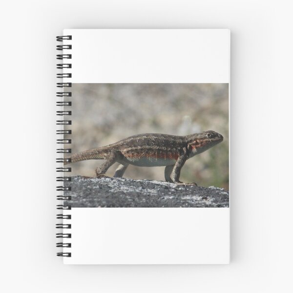 Item preview, Sagebrush Lizard at Yosemite National Park designed and sold by Zeanana.
