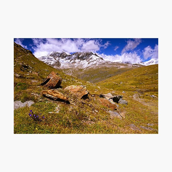 Photographic Print