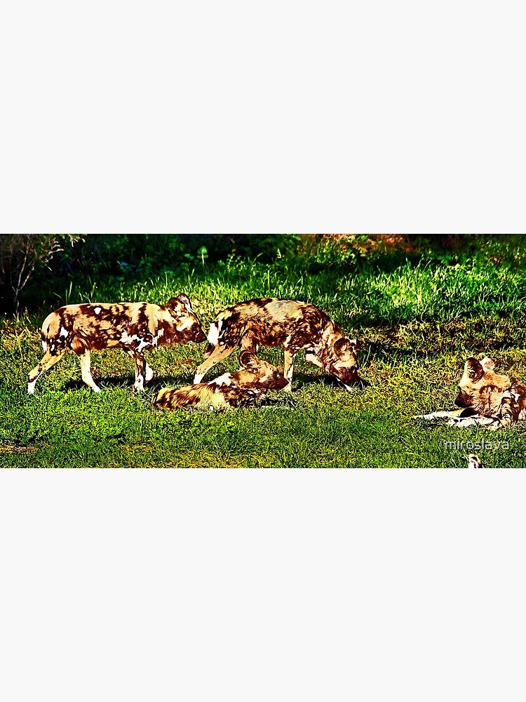 Disover African Wild Dog Family Premium Matte Vertical Poster