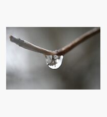 Droplet Photographic Print