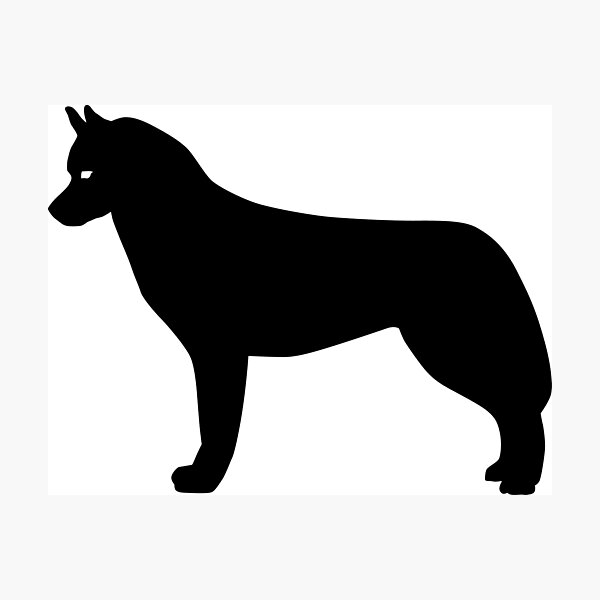Siberian Husky Dog Silhouette Photographic Print