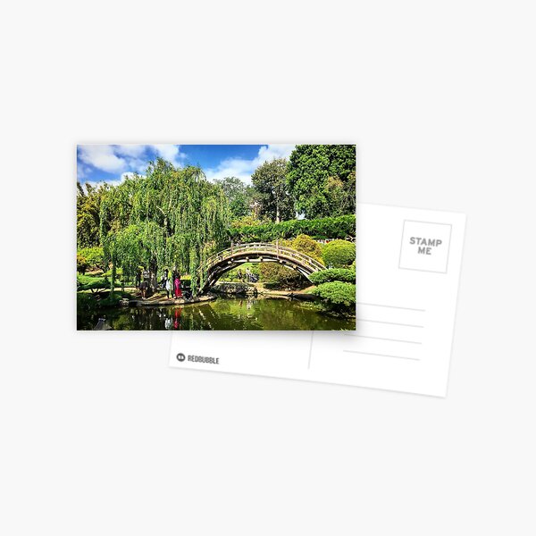 Japanese Garden Bridge Postcard
