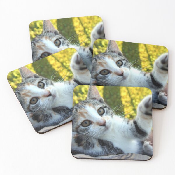 Item preview, Hello says the kitten!  designed and sold by colorfulbundles.