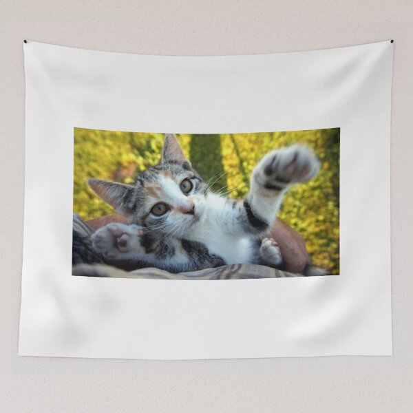 Item preview, Hello says the kitten!  designed and sold by colorfulbundles.