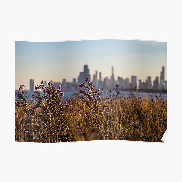 Fall Skyline Poster