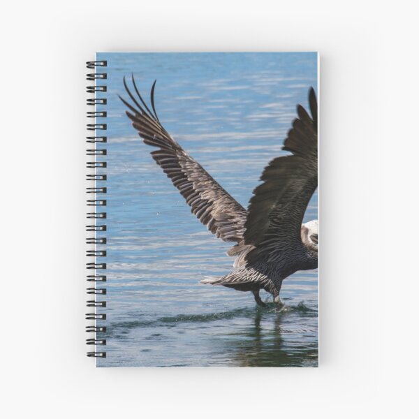 Water Landing Spiral Notebook