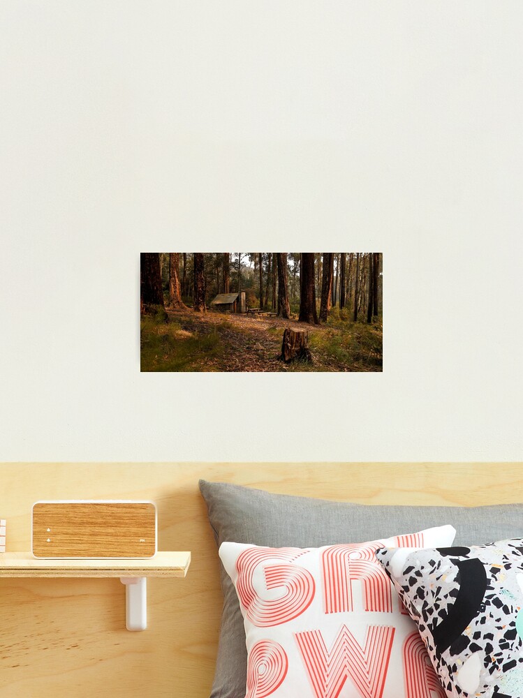 Thumbnail 2 of 3, Photographic Print, Tomahawk Hut - Mansfield State Forest, Victoria designed and sold by JohnnyBullen.