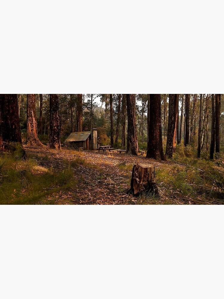 Thumbnail 3 of 3, Photographic Print, Tomahawk Hut - Mansfield State Forest, Victoria designed and sold by JohnnyBullen.