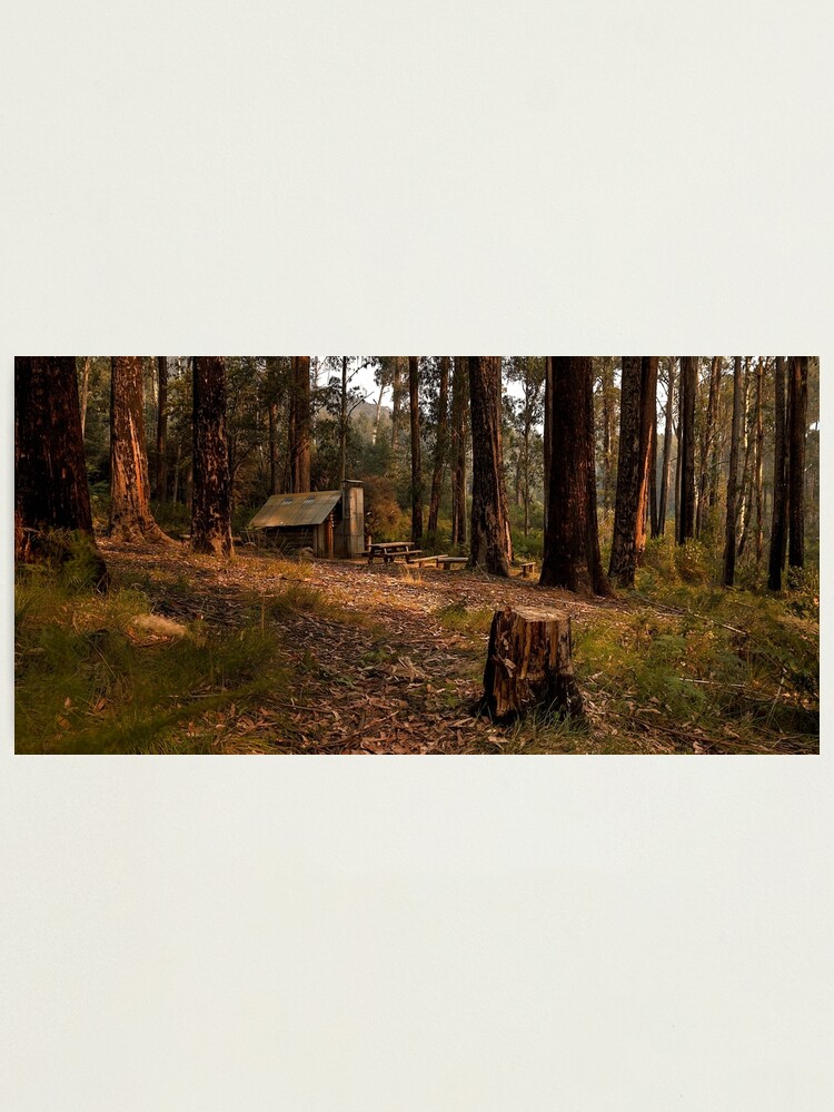 Thumbnail 1 of 3, Photographic Print, Tomahawk Hut - Mansfield State Forest, Victoria designed and sold by JohnnyBullen.