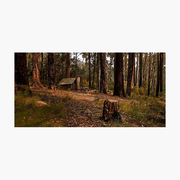 Item preview, Tomahawk Hut - Mansfield State Forest, Victoria designed and sold by John Bullen.