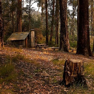 Artwork thumbnail, Tomahawk Hut - Mansfield State Forest, Victoria by John Bullen