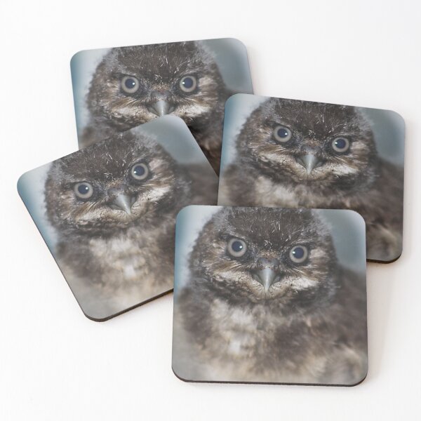 Item preview, Burrowing Owlet designed and sold by Alyce Taylor.