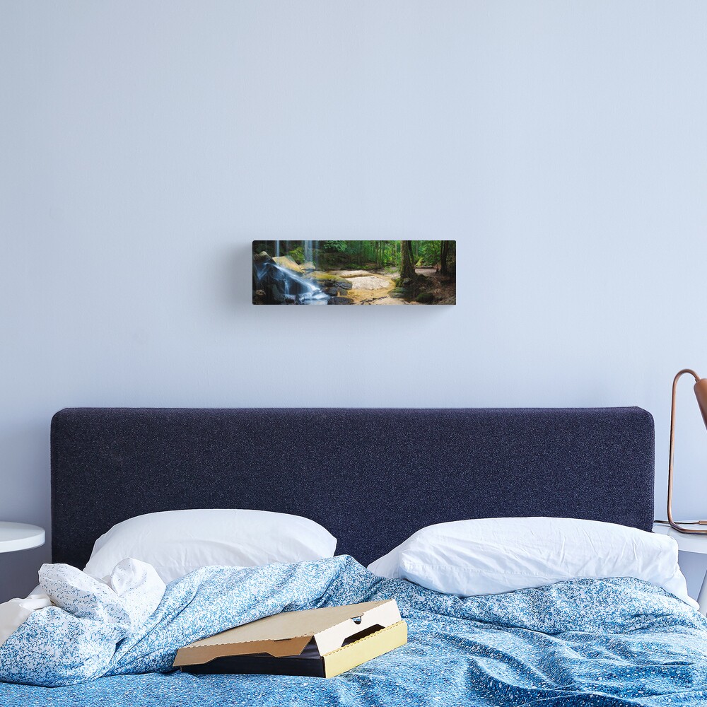 Oakland Falls, Hazelbrook, New South Wales, Australia Canvas Print