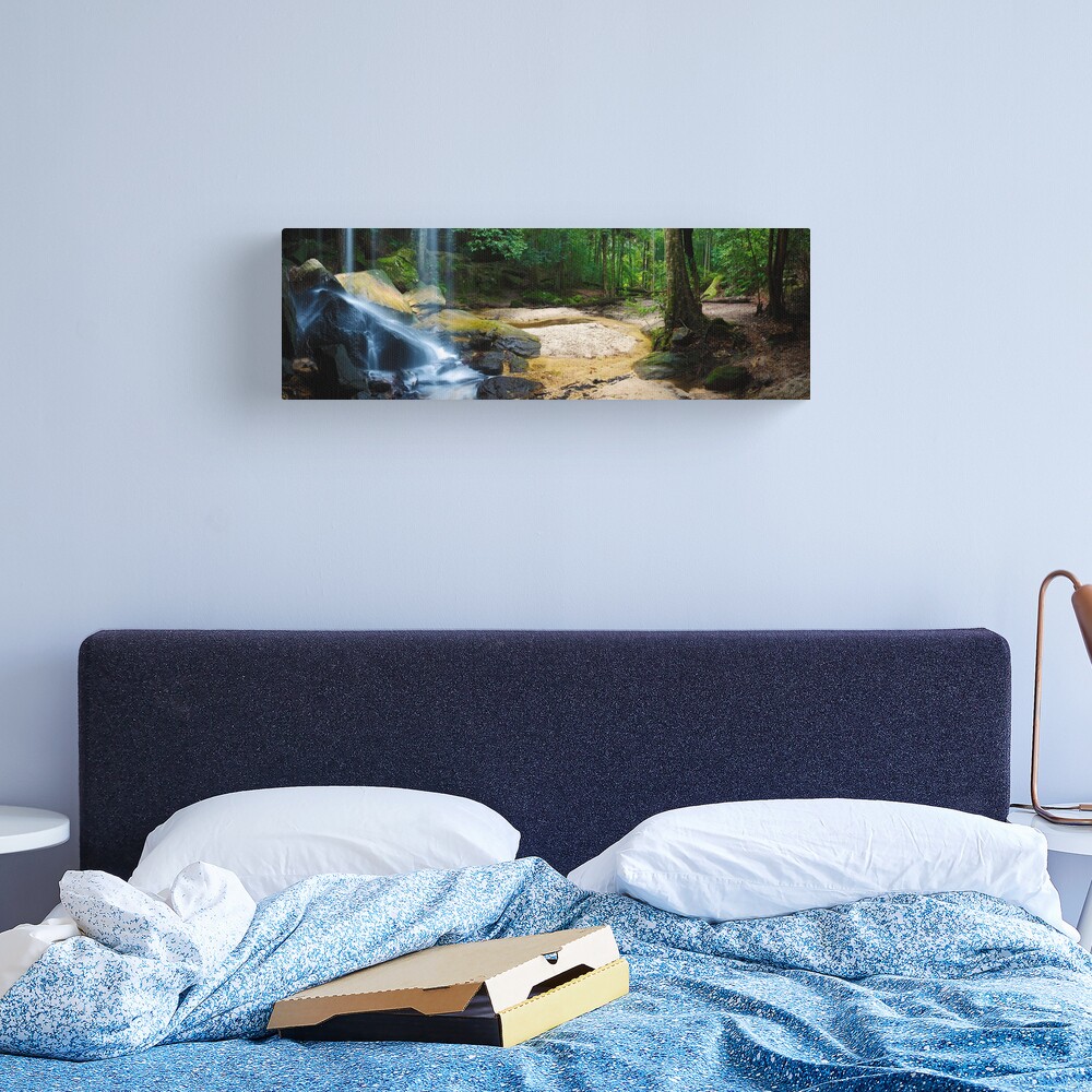 Oakland Falls, Hazelbrook, New South Wales, Australia Canvas Print