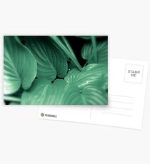 Untitled Postcards