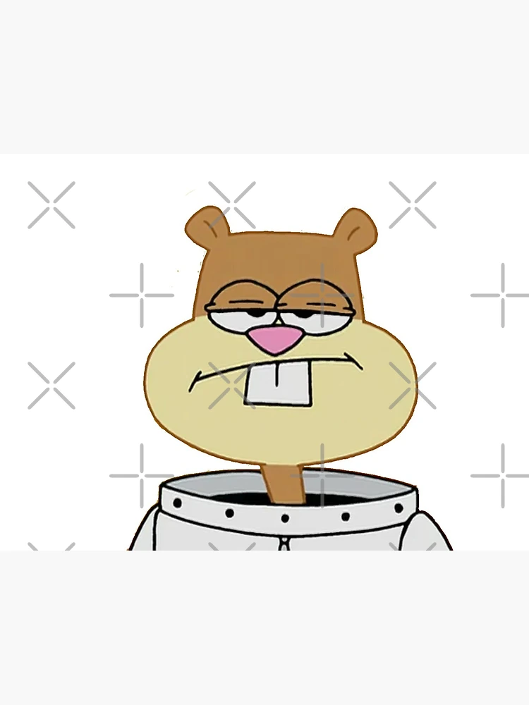 Sandy Cheeks" Greeting Card for Sale by tstefanakos17 | Redbubble