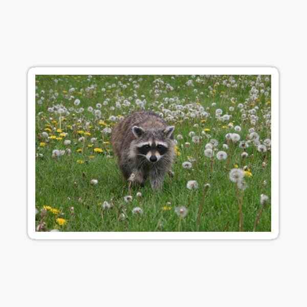 Hey! What you got there??? Sticker