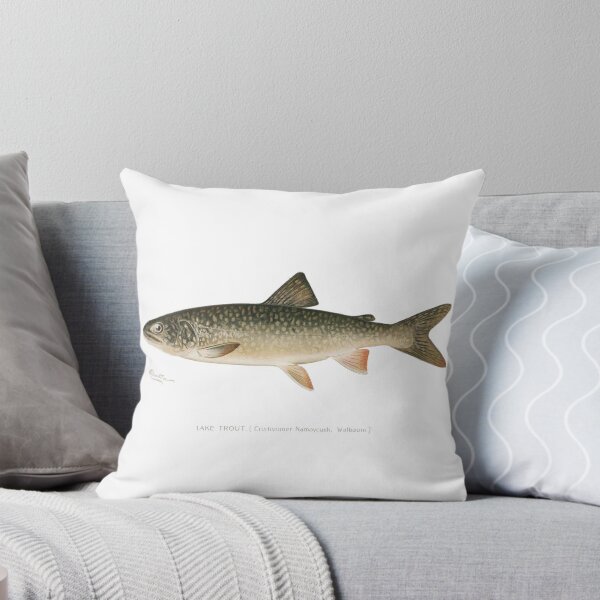 Item preview, Lake Trout, Original Illustration by S. F. Denton, 1899 designed and sold by Anastasia Overton.