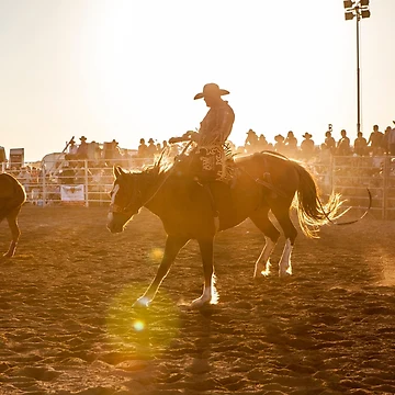 Artwork thumbnail, Sunset Rodeo by Natalie Ord