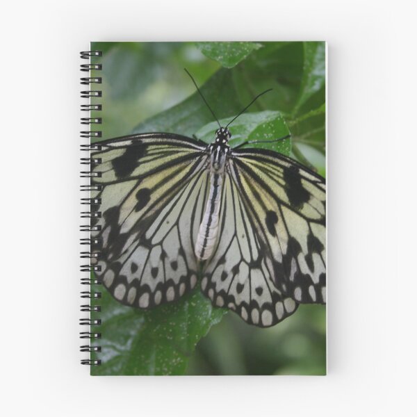 Item preview, Rice Paper Butterfly designed and sold by Alyce Taylor.