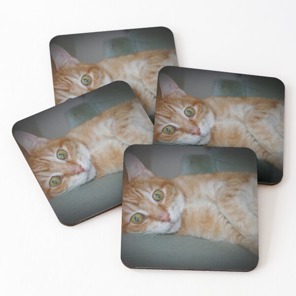 Item preview, Oscar designed and sold by Alyce Taylor.
