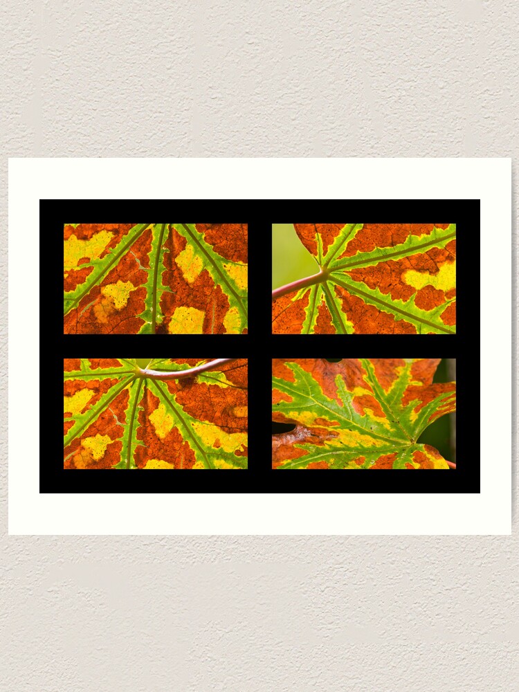 Alternate view of True Colours Art Print