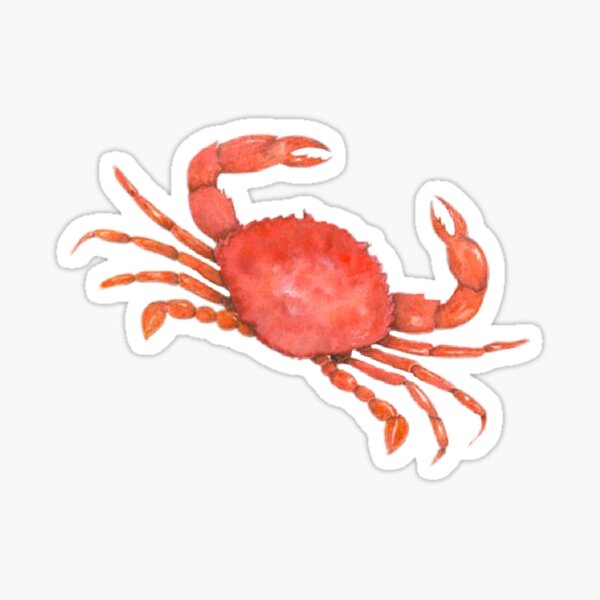 Are You Feeling It Now Mr Krabs Sticker For Sale By Indiaellison Redbubble