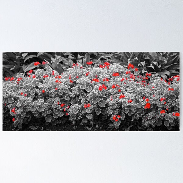 Item preview, Red Flowers  designed and sold by D-GaP.