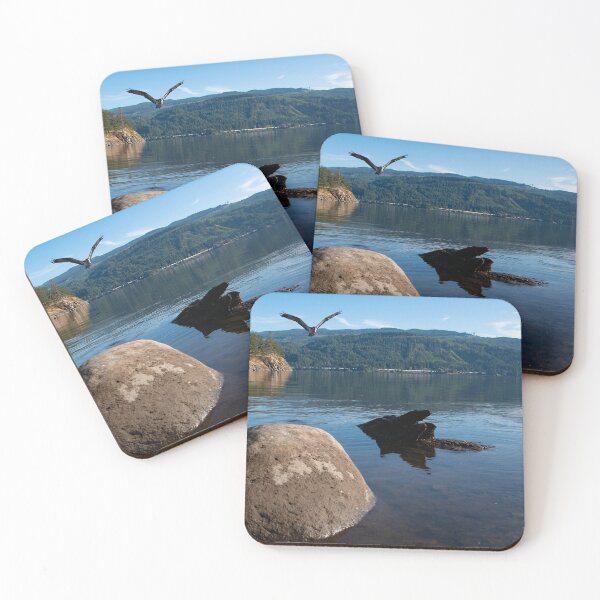 Item preview, Columbia River Osprey designed and sold by nwbirdscapes.