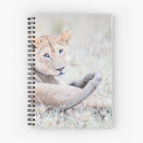 Item preview, Serengeti Lionness (High key) designed and sold by nadine henley.