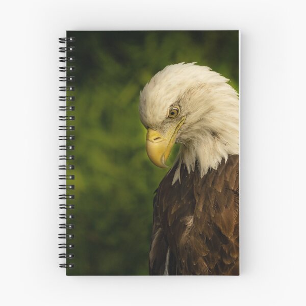 Item preview, Balf eagle portrait. designed and sold by Rinoxxx.