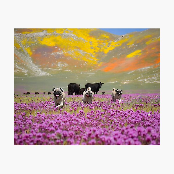 Item preview, Pug Family Outing For Flower Festivities designed and sold by pugventurephoto.