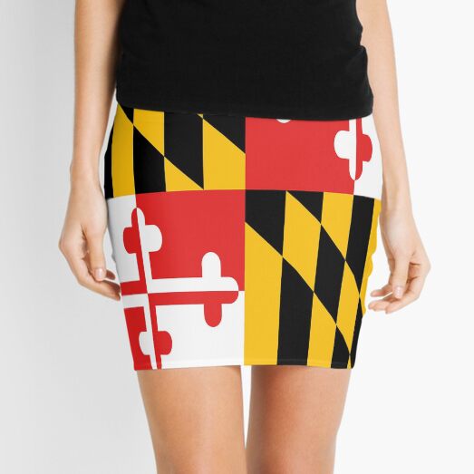 Maryland State Flag Art Design Banner Mini Skirt