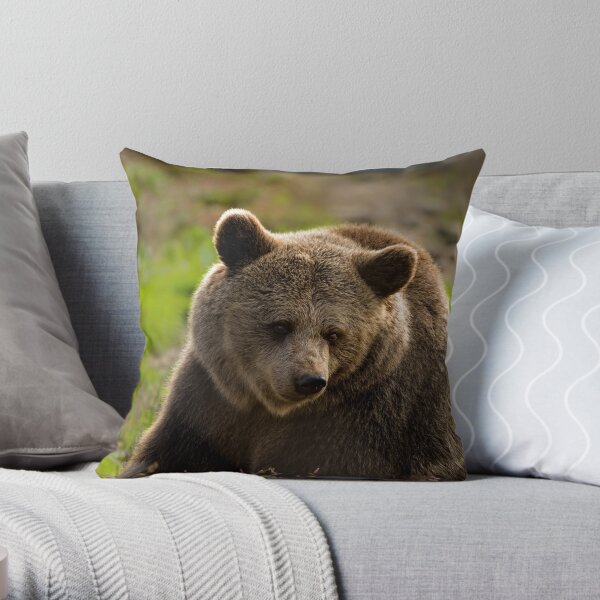 Plush Grizzly - Grizzly bear conservation and protection