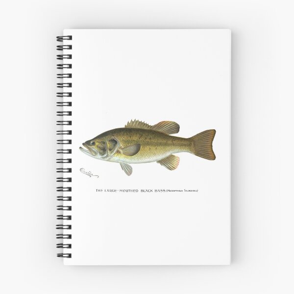 Item preview, Large Mouth Bass, Original Illustration by S. F. Denton 1899 designed and sold by Anastasia Overton.