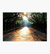 Ueno Park - Tokyo, Japan Photographic Print
