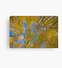 falling Canvas Print