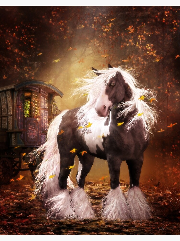 Gypsy Vanner Horse Print