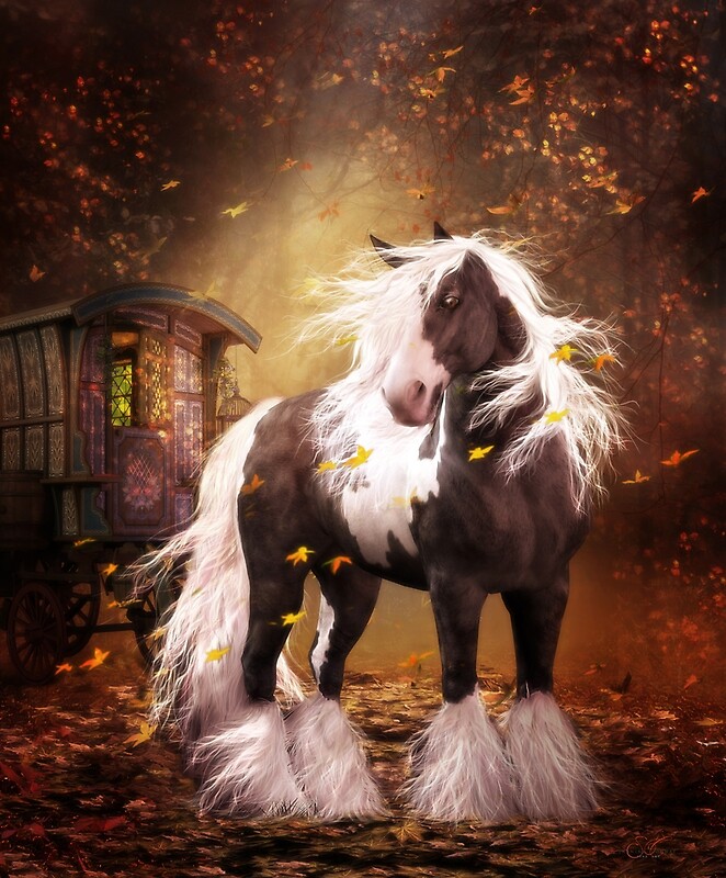 gypsy vanner horse conway shanina redbubble artwork dont