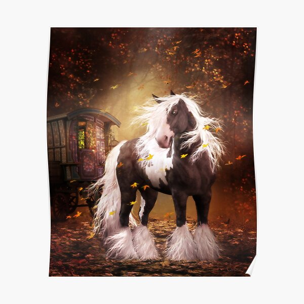 Gypsy Gold - Gypsy Vanner horse Poster