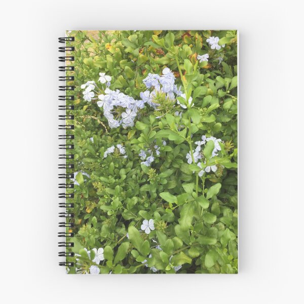 Item preview, Periwinkle designed and sold by Keeley Clinton.