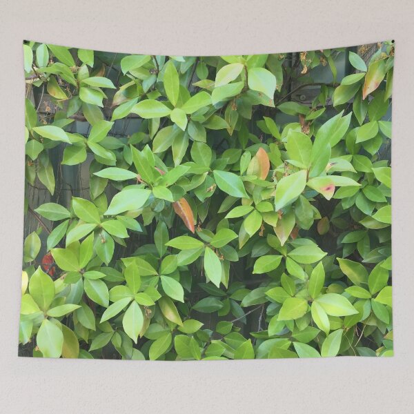 Item preview, Chartreuse designed and sold by Keeley Clinton.