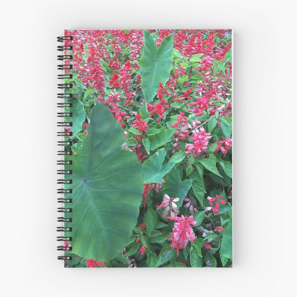 Item preview, Aware designed and sold by Keeley Clinton.