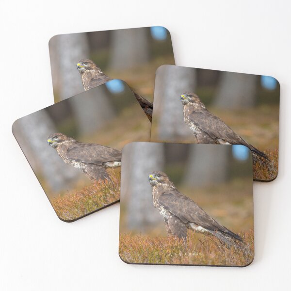 Item preview, Common Buzzard designed and sold by Dave Hare Photography.