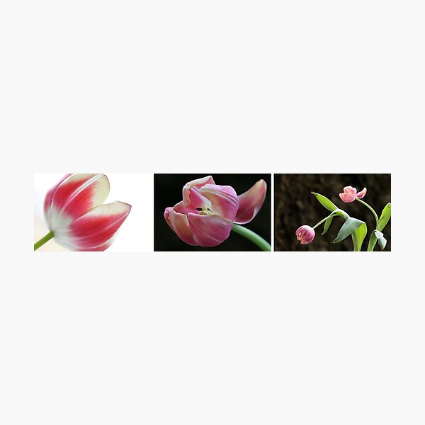 Shining - Living - Ageing Fotodruck
