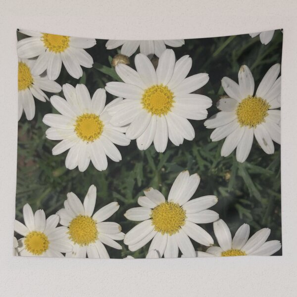 Item preview, Daisy designed and sold by Keeley Clinton.